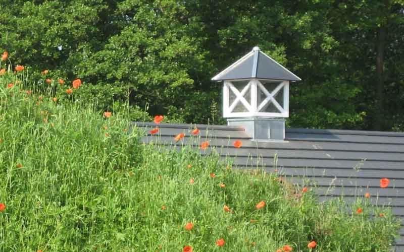 Louisenhof Ferienapartments Und Wellness Burg im Spreewald Eksteriør billede